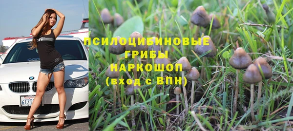 ПСИЛОЦИБИНОВЫЕ ГРИБЫ Медногорск