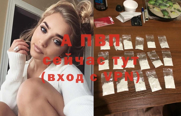 МДПВ Вяземский