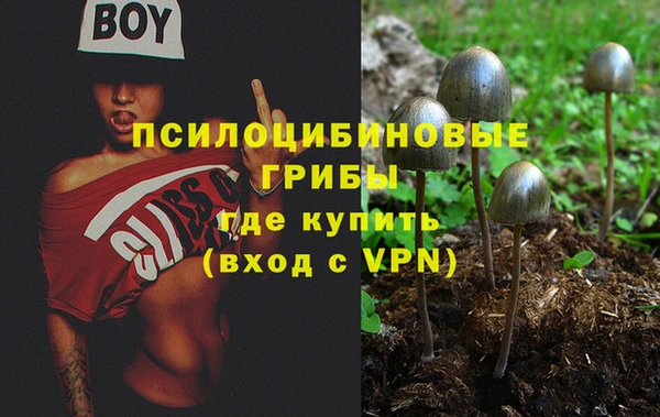 дмт Михайловск