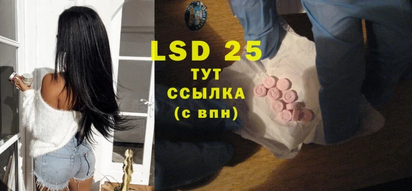 твердый Туринск