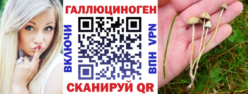 Псилоцибиновые грибы прущие грибы  Данилов 